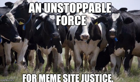 AN UNSTOPPABLE FORCE FOR MEME SITE JUSTICE. | made w/ Imgflip meme maker