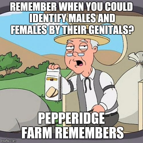 Pepperidge Farm Remembers Meme | REMEMBER WHEN YOU COULD IDENTIFY MALES AND FEMALES BY THEIR GENITALS? PEPPERIDGE FARM REMEMBERS | image tagged in memes,pepperidge farm remembers | made w/ Imgflip meme maker