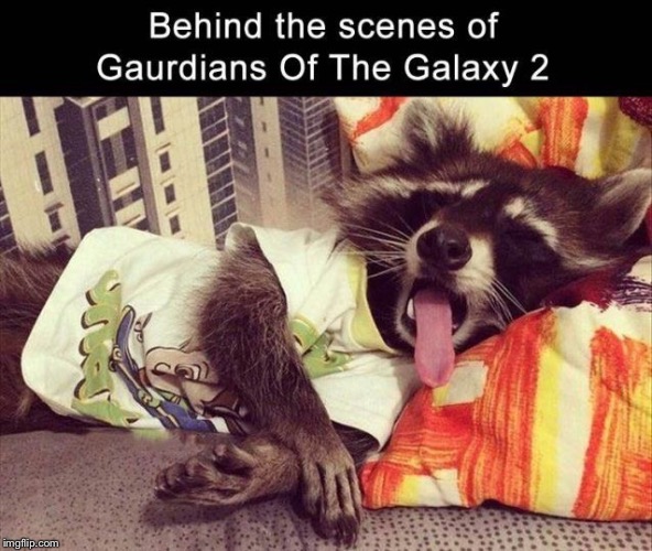 Rocket's Nap Time | image tagged in rocket raccoon,groot,baby groot,gotg2,memes,nap time | made w/ Imgflip meme maker
