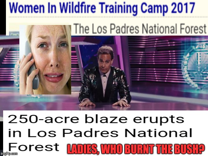 Now For the Real News | LADIES, WHO BURNT THE BUSH? | image tagged in breaking news,lol so funny,memes,men vs women,i know fuck me right | made w/ Imgflip meme maker