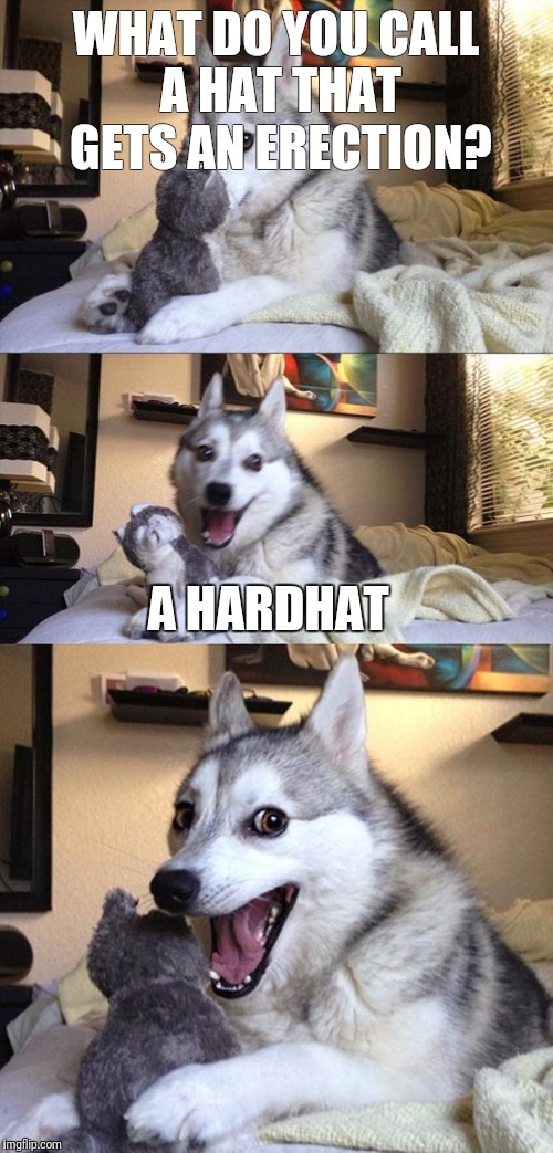 Bad Joke Dog | WHAT DO YOU CALL A HAT THAT GETS AN ERECTION? A HARDHAT | image tagged in bad joke dog | made w/ Imgflip meme maker