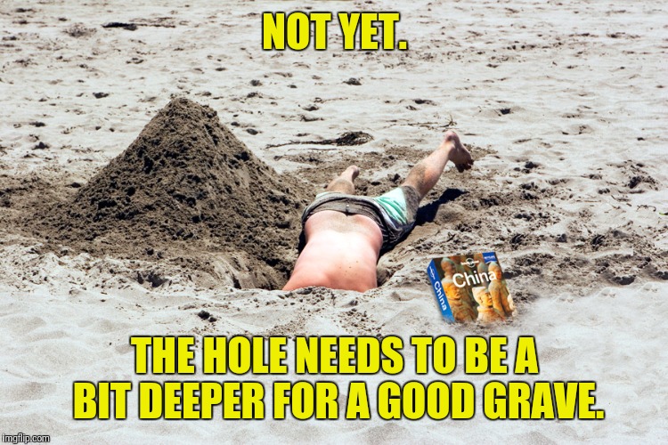 NOT YET. THE HOLE NEEDS TO BE A BIT DEEPER FOR A GOOD GRAVE. | made w/ Imgflip meme maker