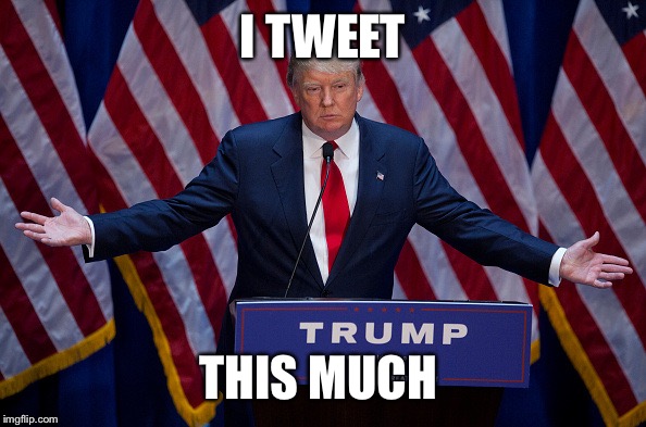 Donald Trump | I TWEET; THIS MUCH | image tagged in donald trump | made w/ Imgflip meme maker