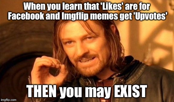 One Does Not Simply Meme | When you learn that 'Likes' are for Facebook and Imgflip memes get 'Upvotes' THEN you may EXIST | image tagged in memes,one does not simply | made w/ Imgflip meme maker