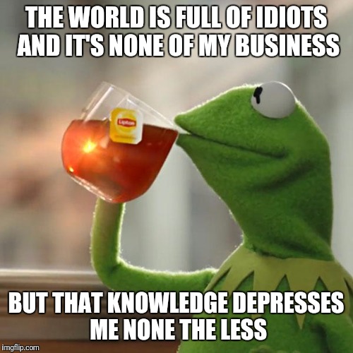 But That's None Of My Business Meme | THE WORLD IS FULL OF IDIOTS AND IT'S NONE OF MY BUSINESS; BUT THAT KNOWLEDGE DEPRESSES ME NONE THE LESS | image tagged in memes,but thats none of my business,kermit the frog | made w/ Imgflip meme maker