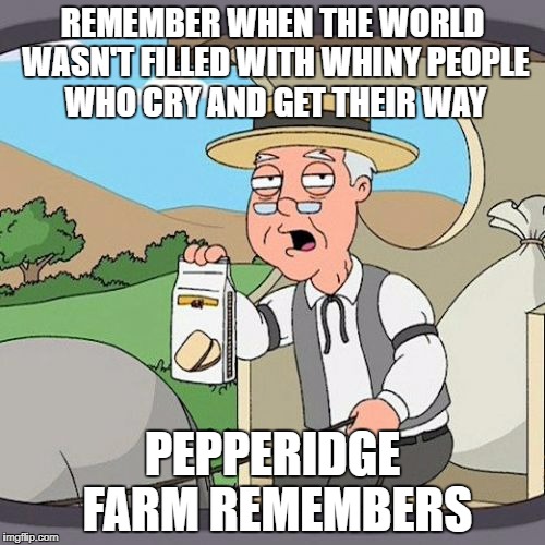 Pepperidge Farm Remembers Meme | REMEMBER WHEN THE WORLD WASN'T FILLED WITH WHINY PEOPLE WHO CRY AND GET THEIR WAY; PEPPERIDGE FARM REMEMBERS | image tagged in memes,pepperidge farm remembers | made w/ Imgflip meme maker