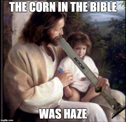 THE CORN IN THE BIBLE; WAS HAZE | image tagged in corn | made w/ Imgflip meme maker