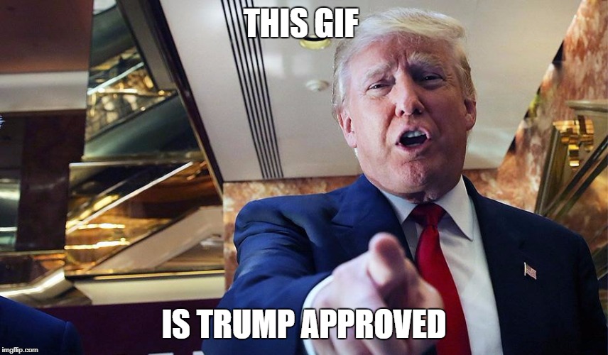 Trump I Want You | THIS GIF IS TRUMP APPROVED | image tagged in trump burn | made w/ Imgflip meme maker