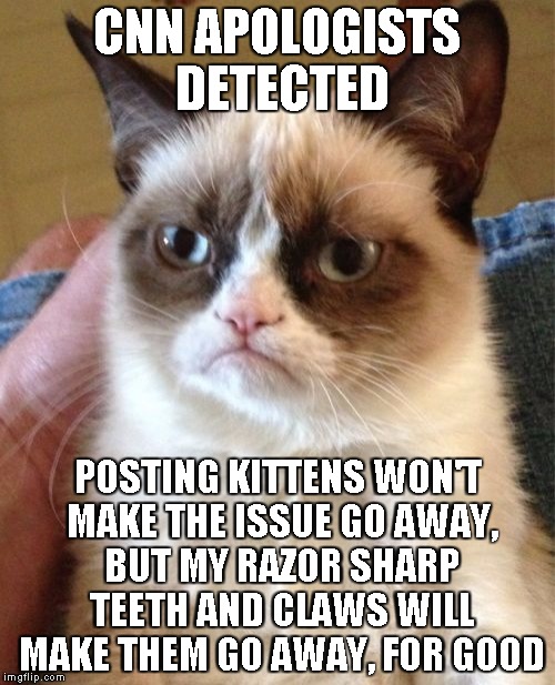 Grumpy Cat Meme | CNN APOLOGISTS DETECTED POSTING KITTENS WON'T MAKE THE ISSUE GO AWAY, BUT MY RAZOR SHARP TEETH AND CLAWS WILL MAKE THEM GO AWAY, FOR GOOD | image tagged in memes,grumpy cat | made w/ Imgflip meme maker