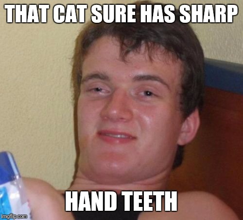 10 Guy Meme | THAT CAT SURE HAS SHARP; HAND TEETH | image tagged in memes,10 guy | made w/ Imgflip meme maker