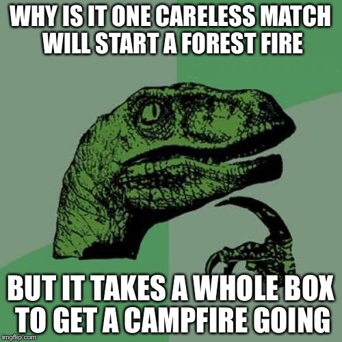 Philosoraptor Meme | WHY IS IT ONE CARELESS MATCH WILL START A FOREST FIRE; BUT IT TAKES A WHOLE BOX TO GET A CAMPFIRE GOING | image tagged in memes,philosoraptor | made w/ Imgflip meme maker