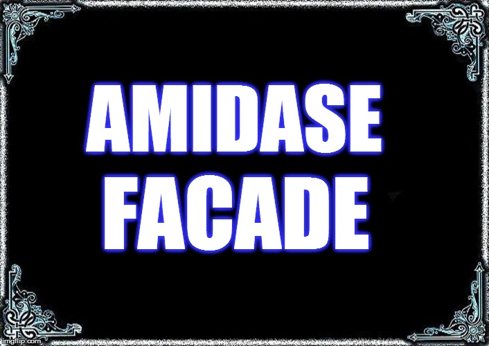 AMIDASE FACADE | made w/ Imgflip meme maker