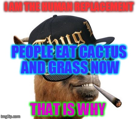 thug life camel | I AM THE HUMAN REPLACEMENT; PEOPLE EAT CACTUS AND GRASS NOW; THAT IS WHY | image tagged in thug life camel | made w/ Imgflip meme maker