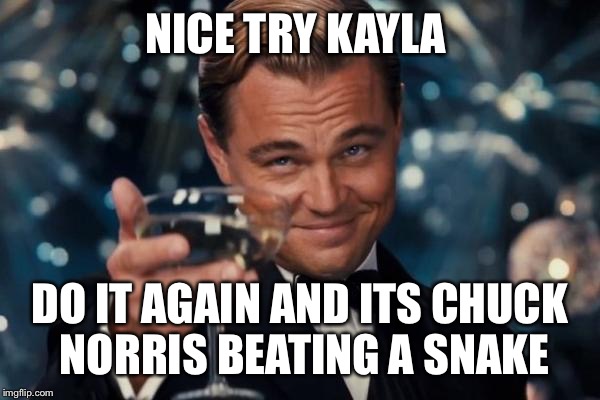 Leonardo Dicaprio Cheers | NICE TRY KAYLA; DO IT AGAIN AND ITS CHUCK NORRIS BEATING A SNAKE | image tagged in memes,leonardo dicaprio cheers | made w/ Imgflip meme maker