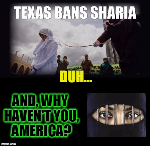 Fanaticism Vs Western Civilization... DUH! | DUH... AND, WHY HAVEN'T YOU, AMERICA? | image tagged in vince vance,sharia law,the constitution of the united states,one nation undivided,there can be only one,this is america | made w/ Imgflip meme maker