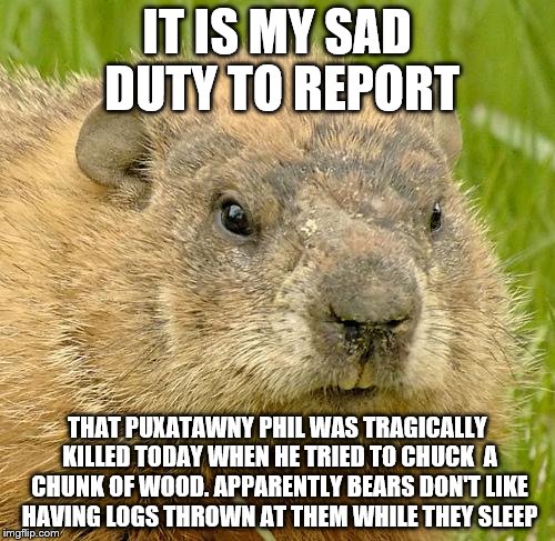 woodchuckpun | IT IS MY SAD DUTY TO REPORT; THAT PUXATAWNY PHIL WAS TRAGICALLY KILLED TODAY WHEN HE TRIED TO CHUCK  A CHUNK OF WOOD. APPARENTLY BEARS DON'T LIKE HAVING LOGS THROWN AT THEM WHILE THEY SLEEP | image tagged in woodchuckpun | made w/ Imgflip meme maker