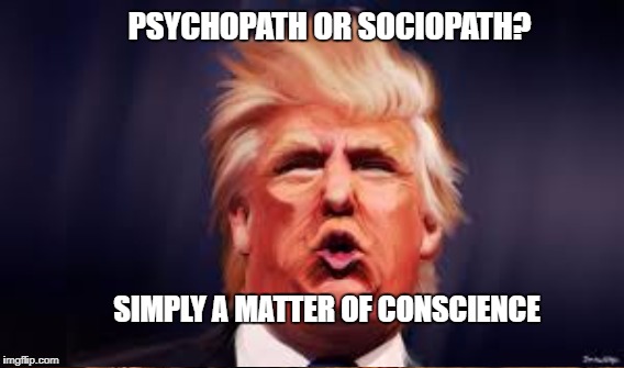 Dystopian Don | PSYCHOPATH OR SOCIOPATH? SIMPLY A MATTER OF CONSCIENCE | image tagged in trump | made w/ Imgflip meme maker