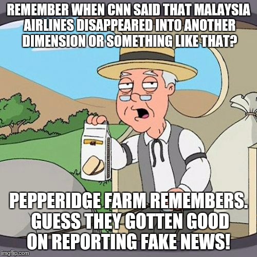 Pepperidge Farm Remembers Meme | REMEMBER WHEN CNN SAID THAT MALAYSIA AIRLINES DISAPPEARED INTO ANOTHER DIMENSION OR SOMETHING LIKE THAT? PEPPERIDGE FARM REMEMBERS. GUESS THEY GOTTEN GOOD ON REPORTING FAKE NEWS! | image tagged in memes,pepperidge farm remembers | made w/ Imgflip meme maker