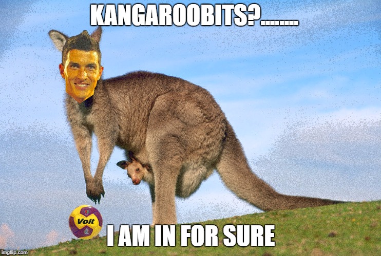 KANGAROOBITS?........ I AM IN FOR SURE | made w/ Imgflip meme maker