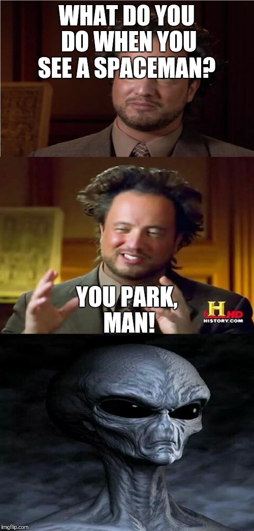Bad Pun Aliens Guy | WHAT DO YOU DO WHEN YOU SEE A SPACEMAN? YOU PARK, MAN! | image tagged in bad pun aliens guy | made w/ Imgflip meme maker