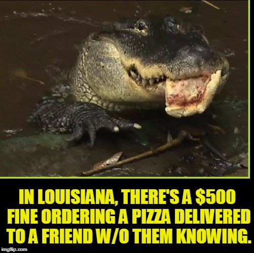 Louisiana Pizza Law | IN LOUISIANA, THERE'S A $500 FINE ORDERING A PIZZA DELIVERED TO A FRIEND W/O THEM KNOWING. | image tagged in vince vance,alligators,pizza,strange laws in america,strange laws in louisiana,it's against the law | made w/ Imgflip meme maker