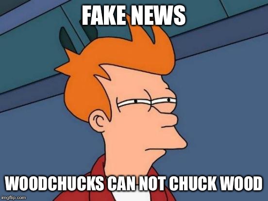 Futurama Fry Meme | FAKE NEWS WOODCHUCKS CAN NOT CHUCK WOOD | image tagged in memes,futurama fry | made w/ Imgflip meme maker