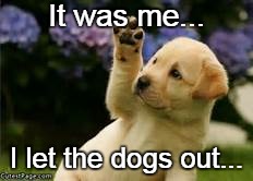 It was me... I let the dogs out... | image tagged in dogs,out,me | made w/ Imgflip meme maker