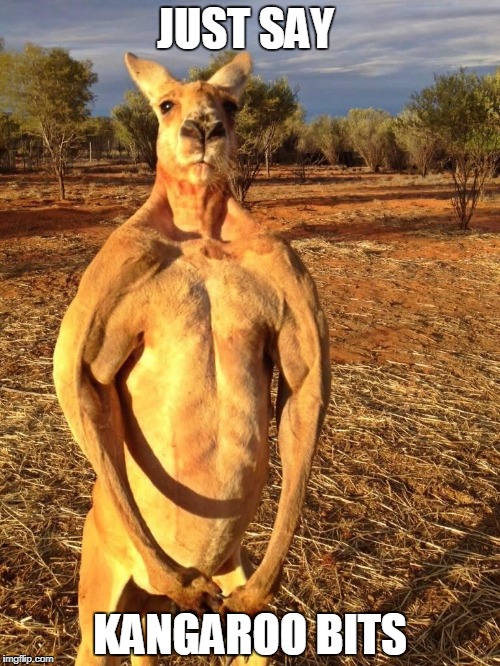 Buff Kangaroo | JUST SAY; KANGAROO BITS | image tagged in buff kangaroo | made w/ Imgflip meme maker