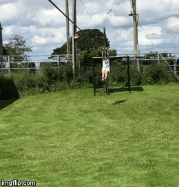 Zip-Lines Ireland | image tagged in gifs,ziplining,garden zipline,zip wire,garden fun,outdoor fun | made w/ Imgflip video-to-gif maker