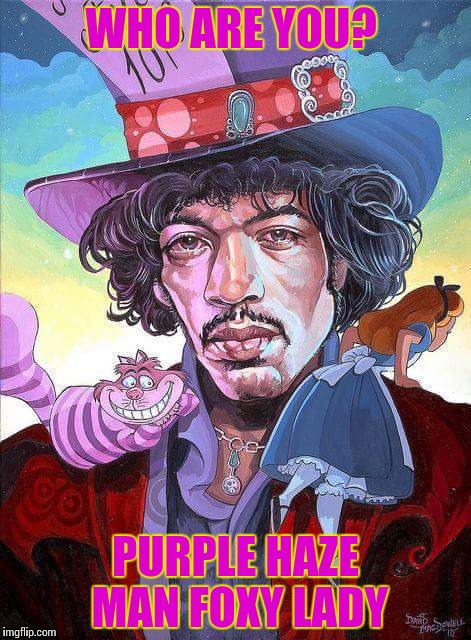 Alice in Woodstock land | WHO ARE YOU? PURPLE HAZE MAN FOXY LADY | image tagged in music,alice in wonderland | made w/ Imgflip meme maker