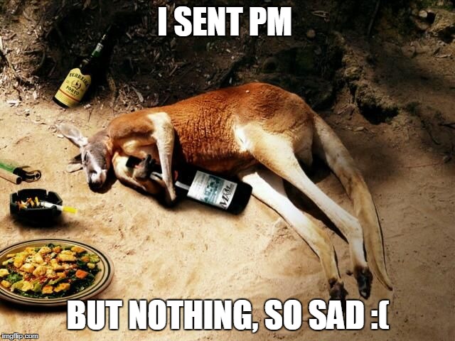 kangaroo | I SENT PM; BUT NOTHING, SO SAD :( | image tagged in kangaroo | made w/ Imgflip meme maker