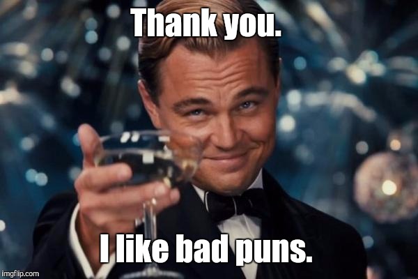 Leonardo Dicaprio Cheers Meme | Thank you. I like bad puns. | image tagged in memes,leonardo dicaprio cheers | made w/ Imgflip meme maker