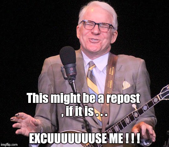 This might be a repost , if it is . . . EXCUUUUUUUSE ME ! ! ! | image tagged in steve martin | made w/ Imgflip meme maker