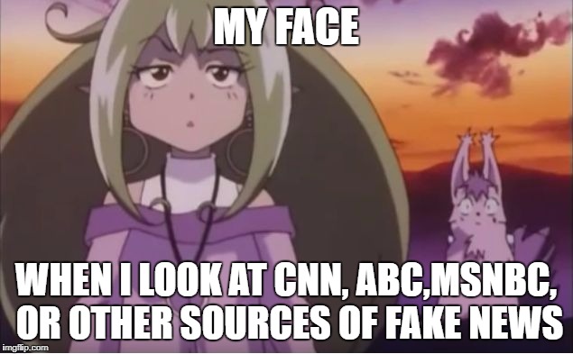 Mirabelle Graceland blank stare | MY FACE; WHEN I LOOK AT CNN, ABC,MSNBC, OR OTHER SOURCES OF FAKE NEWS | image tagged in mirabelle graceland blank stare | made w/ Imgflip meme maker