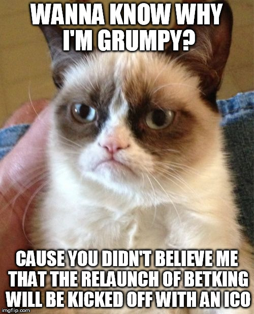 Grumpy Cat Meme | WANNA KNOW WHY I'M GRUMPY? CAUSE YOU DIDN'T BELIEVE ME THAT THE RELAUNCH OF BETKING WILL BE KICKED OFF WITH AN ICO | image tagged in memes,grumpy cat | made w/ Imgflip meme maker