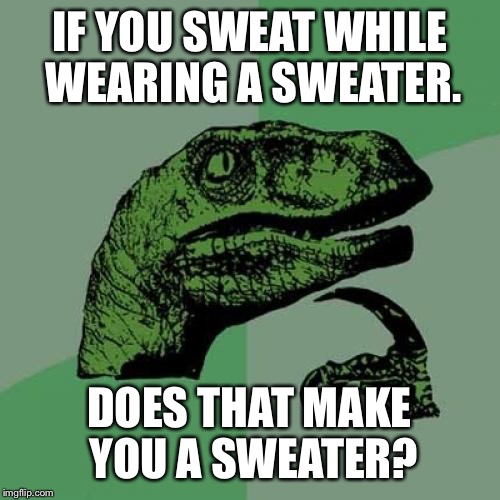 Philosoraptor Meme | IF YOU SWEAT WHILE WEARING A SWEATER. DOES THAT MAKE YOU A SWEATER? | image tagged in memes,philosoraptor | made w/ Imgflip meme maker