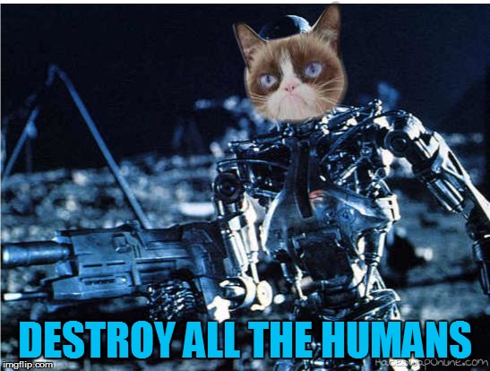 grump cat terminator | DESTROY ALL THE HUMANS | image tagged in grump cat terminator | made w/ Imgflip meme maker