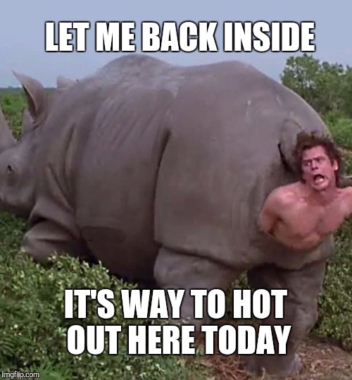 LET ME BACK INSIDE; IT'S WAY TO HOT OUT HERE TODAY | image tagged in jim carry | made w/ Imgflip meme maker