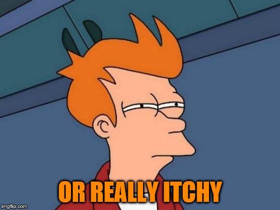 Futurama Fry Meme | OR REALLY ITCHY | image tagged in memes,futurama fry | made w/ Imgflip meme maker