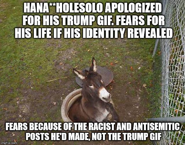 Now why would such a fine, sharp talent like him need to fear for his life with a pro-Trump GIF? | HANA**HOLESOLO APOLOGIZED FOR HIS TRUMP GIF. FEARS FOR HIS LIFE IF HIS IDENTITY REVEALED; FEARS BECAUSE OF THE RACIST AND ANTISEMITIC POSTS HE'D MADE, NOT THE TRUMP GIF | image tagged in hanassholesolo,trump gif,cnn,racist,antisemitic,blackmail | made w/ Imgflip meme maker