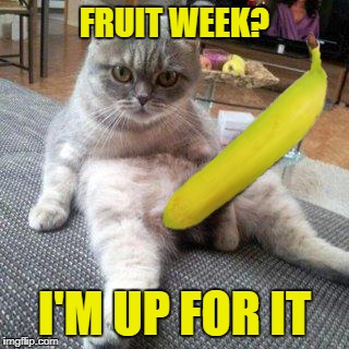 Fruit Week - cause TammyFaye said so! | FRUIT WEEK? I'M UP FOR IT | image tagged in cat boner,cat banana boner,boner,i wanted to say boner,boner boner boner | made w/ Imgflip meme maker