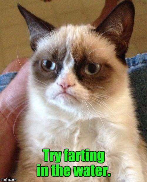 Grumpy Cat Meme | Try farting in the water. | image tagged in memes,grumpy cat | made w/ Imgflip meme maker