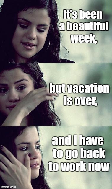 selena gomez crying | It's been a beautiful week, but vacation is over, and I have to go back to work now | image tagged in selena gomez crying | made w/ Imgflip meme maker