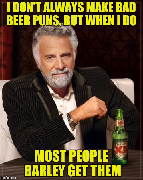 The Most Interesting Man In The World Meme | I DON'T ALWAYS MAKE BAD BEER PUNS, BUT WHEN I DO MOST PEOPLE BARLEY GET THEM | image tagged in memes,the most interesting man in the world | made w/ Imgflip meme maker