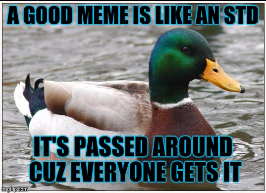Actual Advice Mallard | A GOOD MEME IS LIKE AN STD; IT'S PASSED AROUND CUZ EVERYONE GETS IT | image tagged in memes,actual advice mallard,lol so funny,stds,so hot right now,sex jokes | made w/ Imgflip meme maker