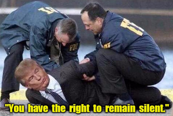 "And I wish to god you'd exercise it." | "You  have  the  right  to  remain  silent." | image tagged in trump,cops,silent,lock him up | made w/ Imgflip meme maker