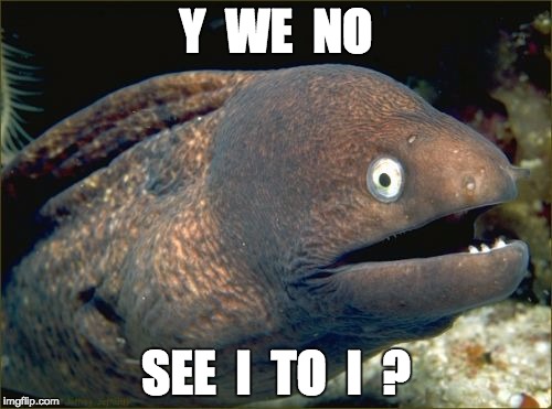 Bad Joke Eel Meme | Y  WE  NO; SEE  I  TO  I  ? | image tagged in memes,bad joke eel | made w/ Imgflip meme maker