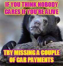 Sad Bear | IF YOU THINK NOBODY CARES IF YOU’RE ALIVE; TRY MISSING A COUPLE OF CAR PAYMENTS | image tagged in sad bear,funny,car,sad,jokes | made w/ Imgflip meme maker