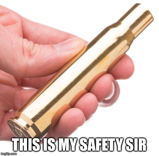 THIS IS MY SAFETY SIR | image tagged in this is my safety sir | made w/ Imgflip meme maker