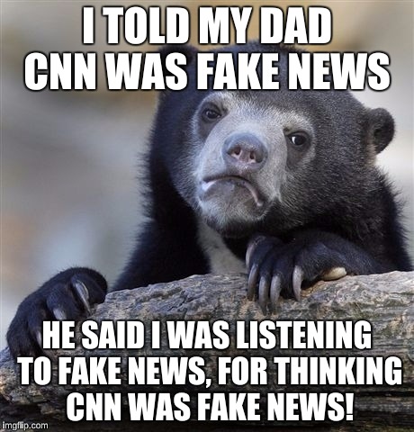 Confession Bear Meme | I TOLD MY DAD CNN WAS FAKE NEWS HE SAID I WAS LISTENING TO FAKE NEWS, FOR THINKING CNN WAS FAKE NEWS! | image tagged in memes,confession bear | made w/ Imgflip meme maker